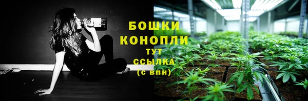 каннабис Аркадак