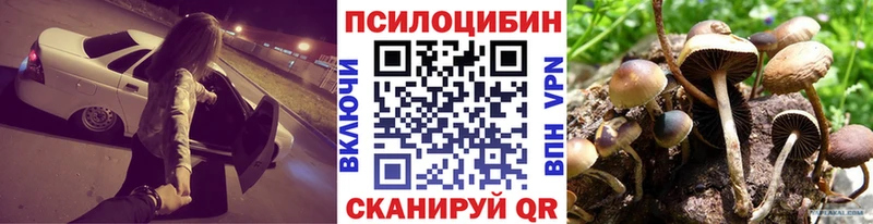 Псилоцибиновые грибы мухоморы Балашов